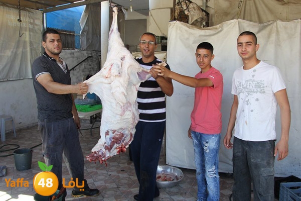 dabe7 ludj31 (34).JPG